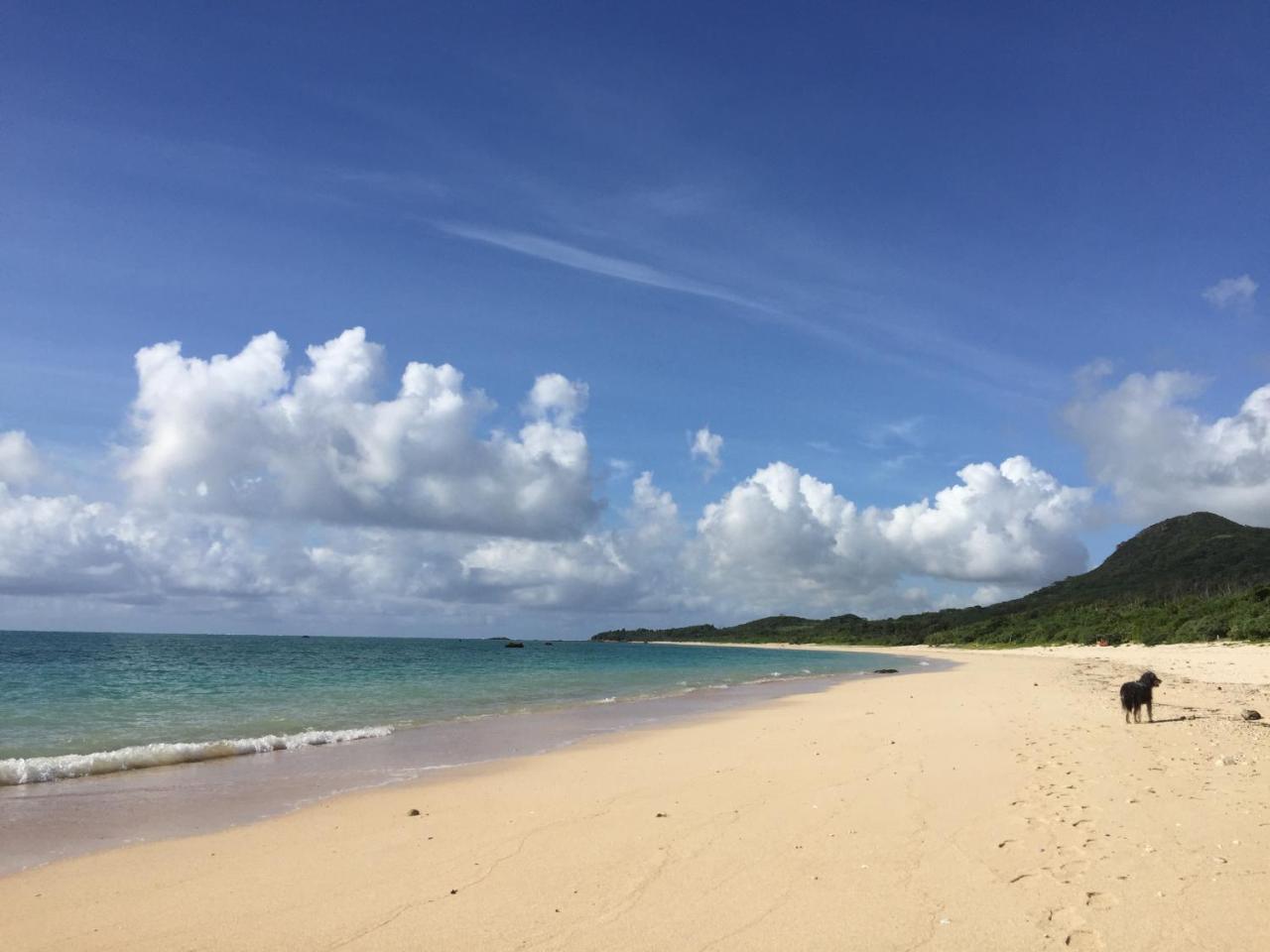 Guest House Annsea Ishigaki  Luaran gambar